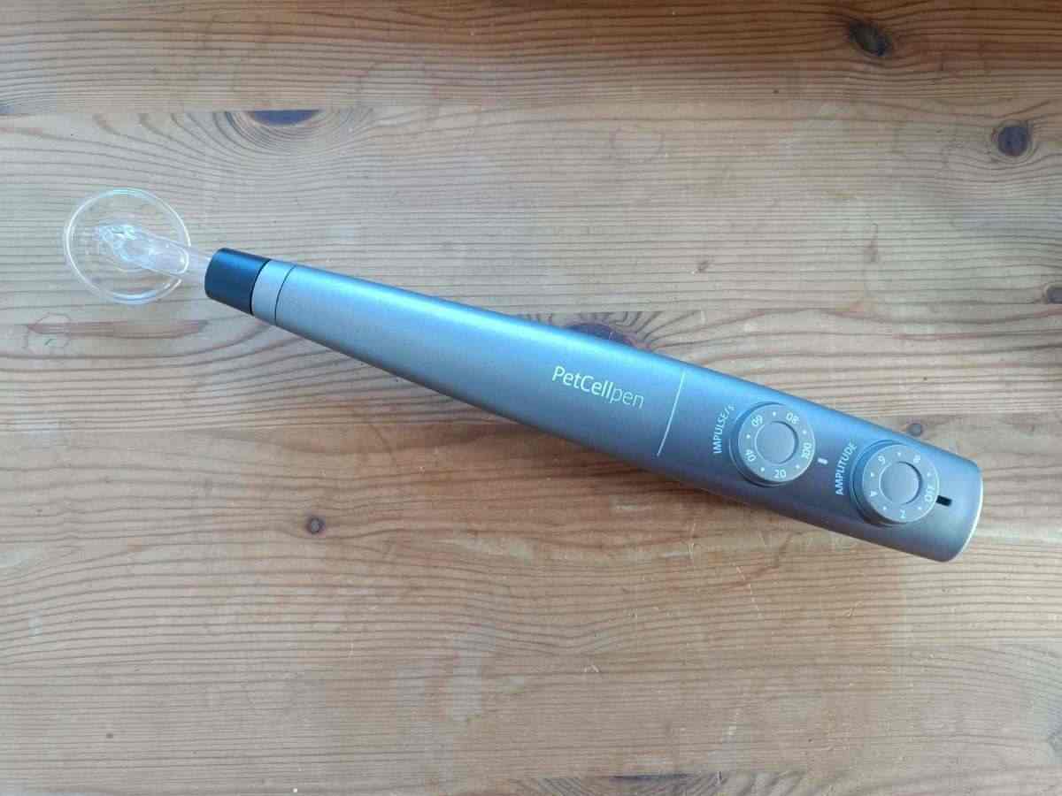 Kabelloses Kaltplasmatherapiegerät PetCellpen® mit Scheiben-Glaselektrode